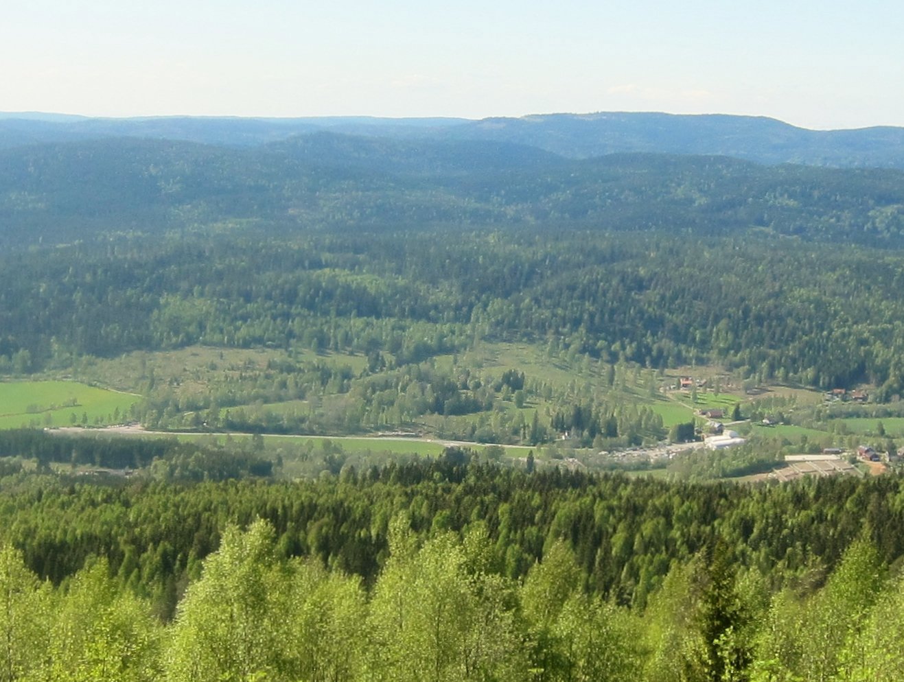 Vårgrønt i Sørkedalen