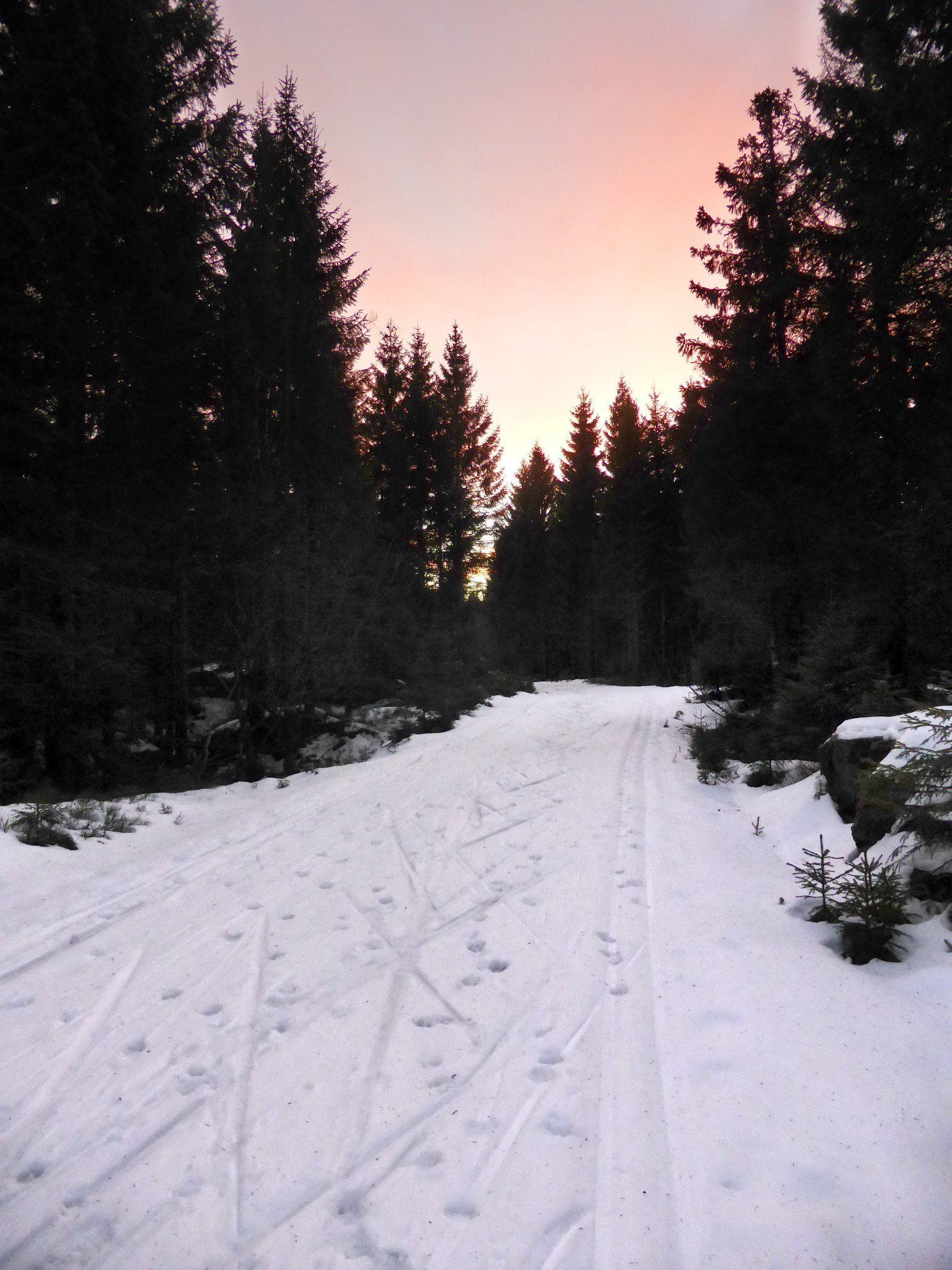 Varierende forhold fra Skoglund