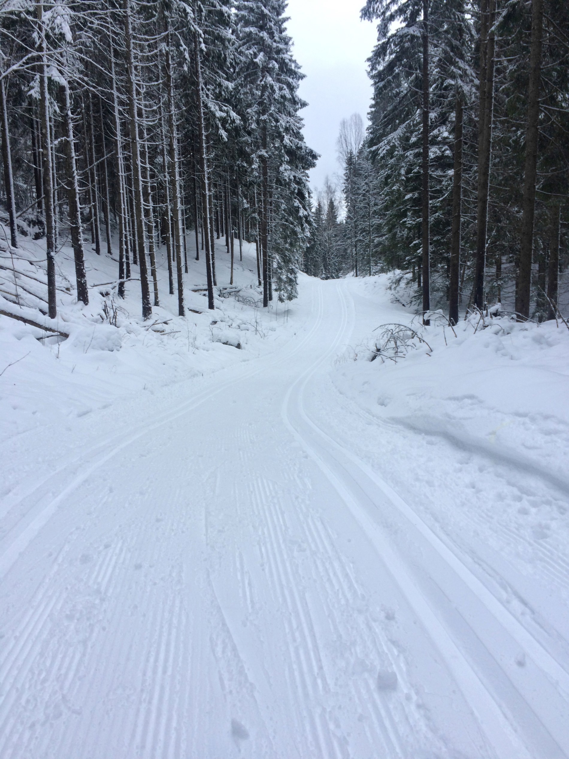 Variert og kupert forbi Grisputten