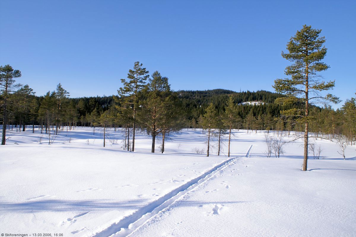 Varingskollen i sikte