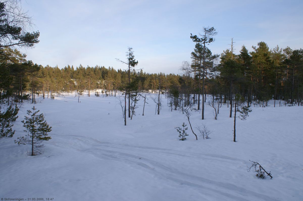 Vårkveld ved Fjellfugleleiken