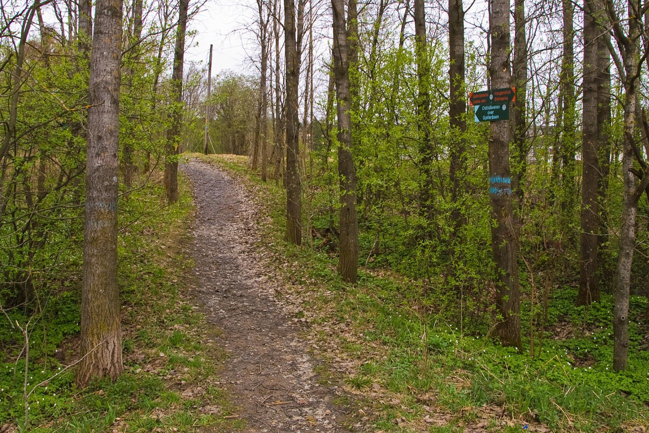 Vårlig inngang til Oldtidsveien fra Stovner