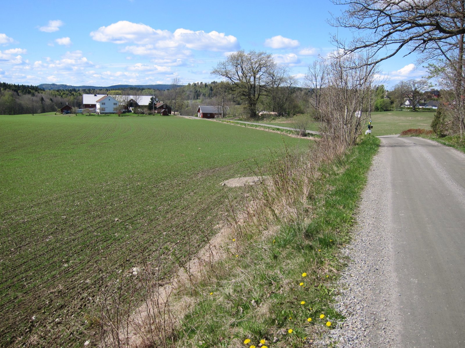 Vårlig ved Bjørnstad gård