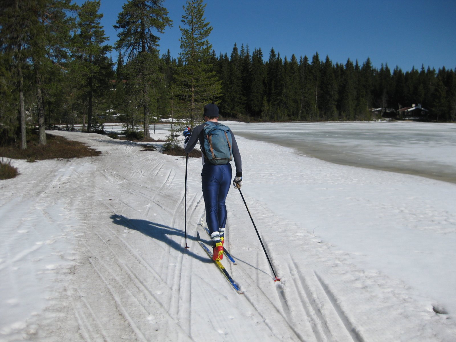Vårlig ved Kolltjern