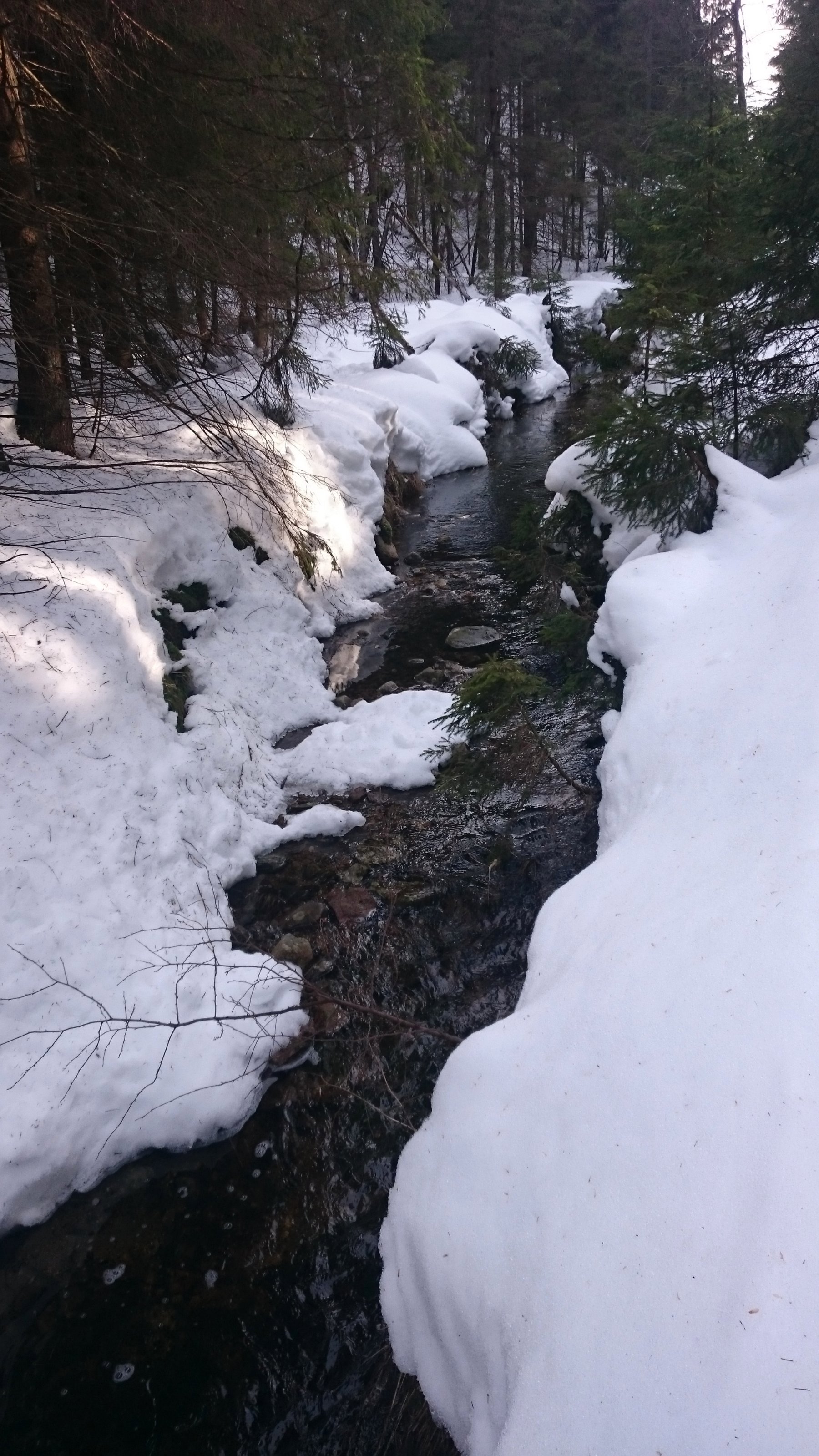 Vårløsning ved Ausenebekken