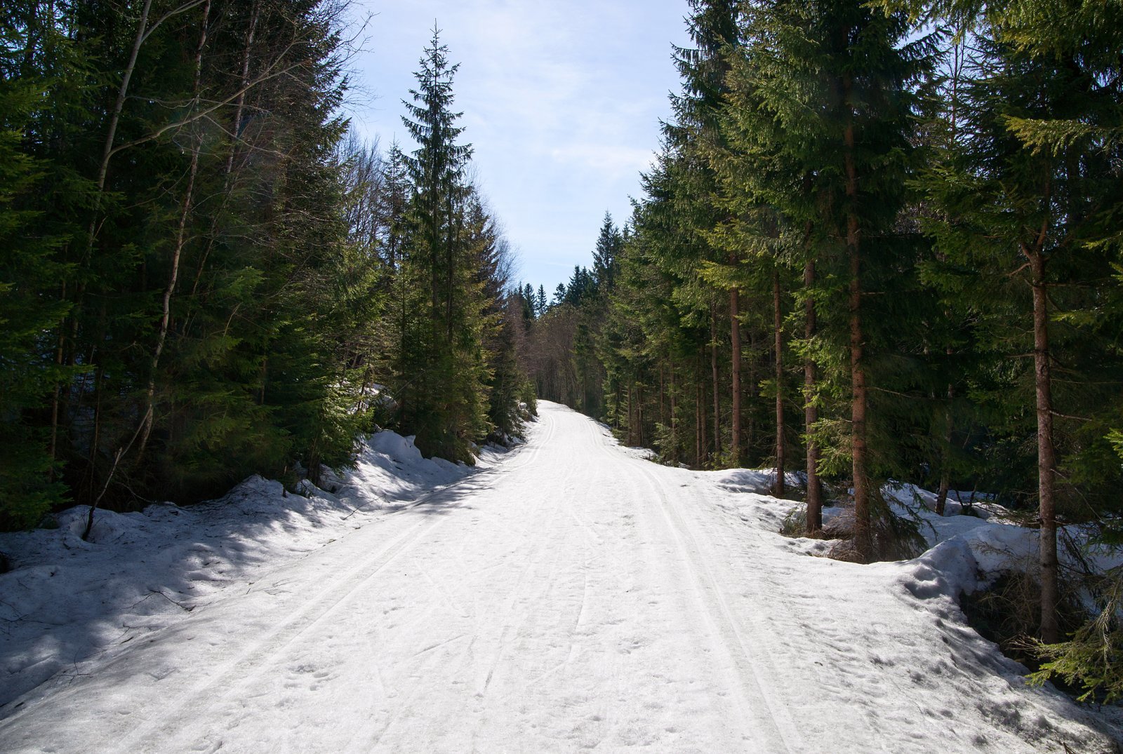 Vårlys og skiføre i Vestmarka