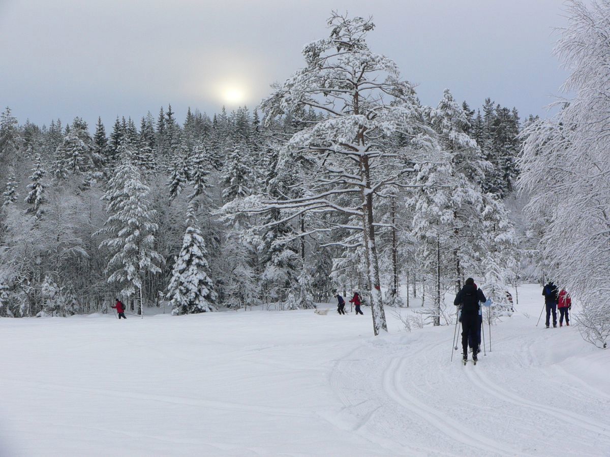Væromslag ved Abbortjern