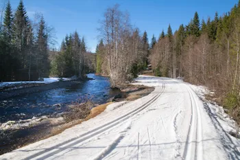 I dag hadde Bærum kommune preparert Helårsløypa fra Guribysaga til Tverrelva og videre nordover, til glede for alle som gikk på ski er denne vårdagen. Bildet er tatt rett sør for Greinehytta.