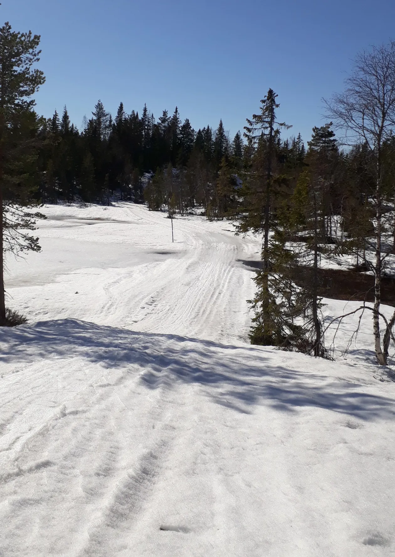 Vårskitur til Storsteinsfjell/Utsikten og Skimten Vårskitur til Storsteinsfjell/Utsikten og Skimten