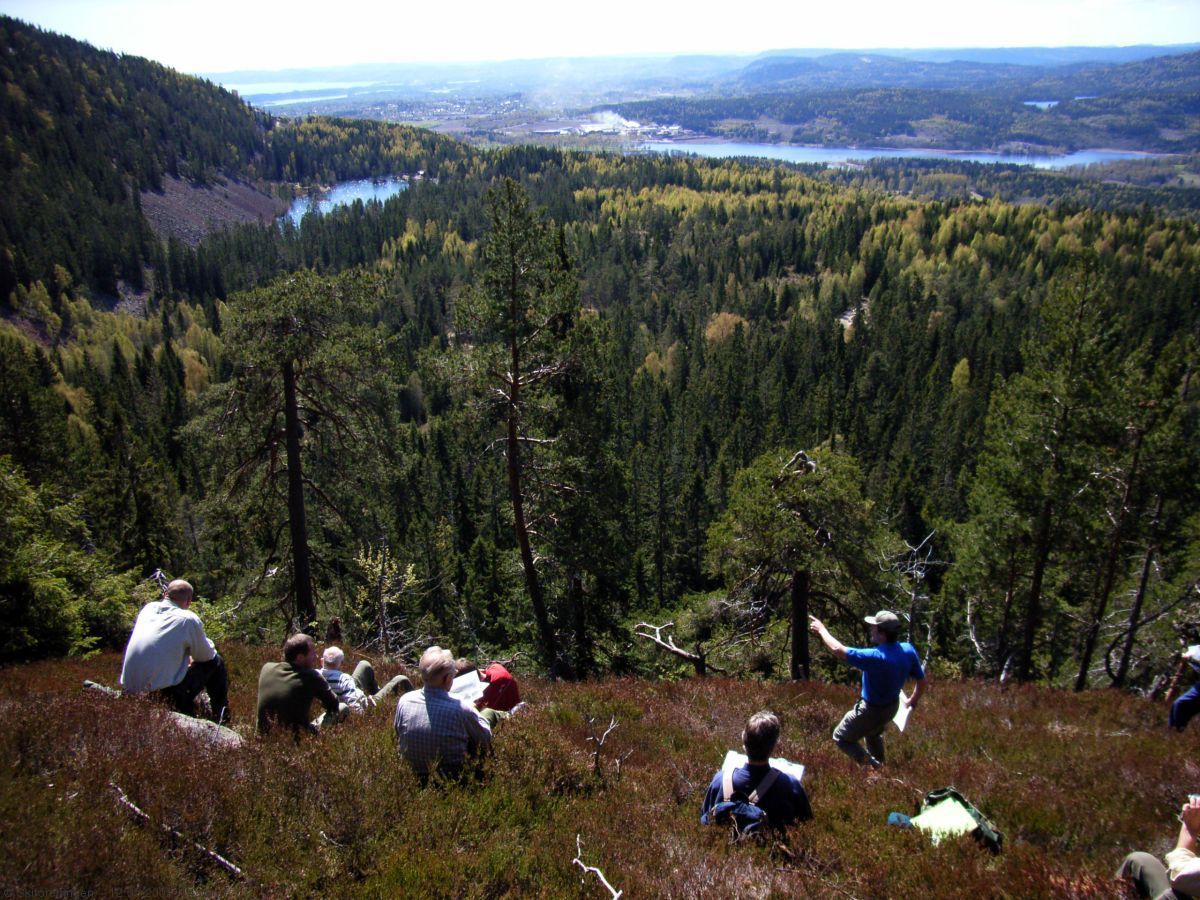 Vårstemning ved Rødkleiva