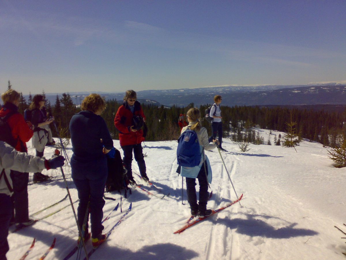 Vårtur 2008: Panoramautsikt fra Kjølvegen