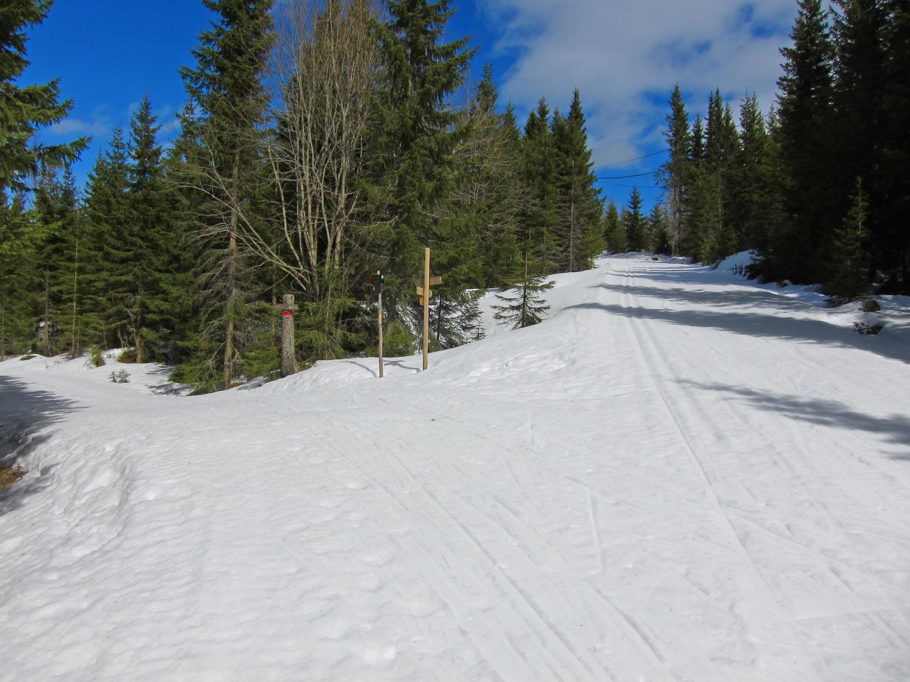 Vårtur 2010: Solid snøsåle ved Åstjern