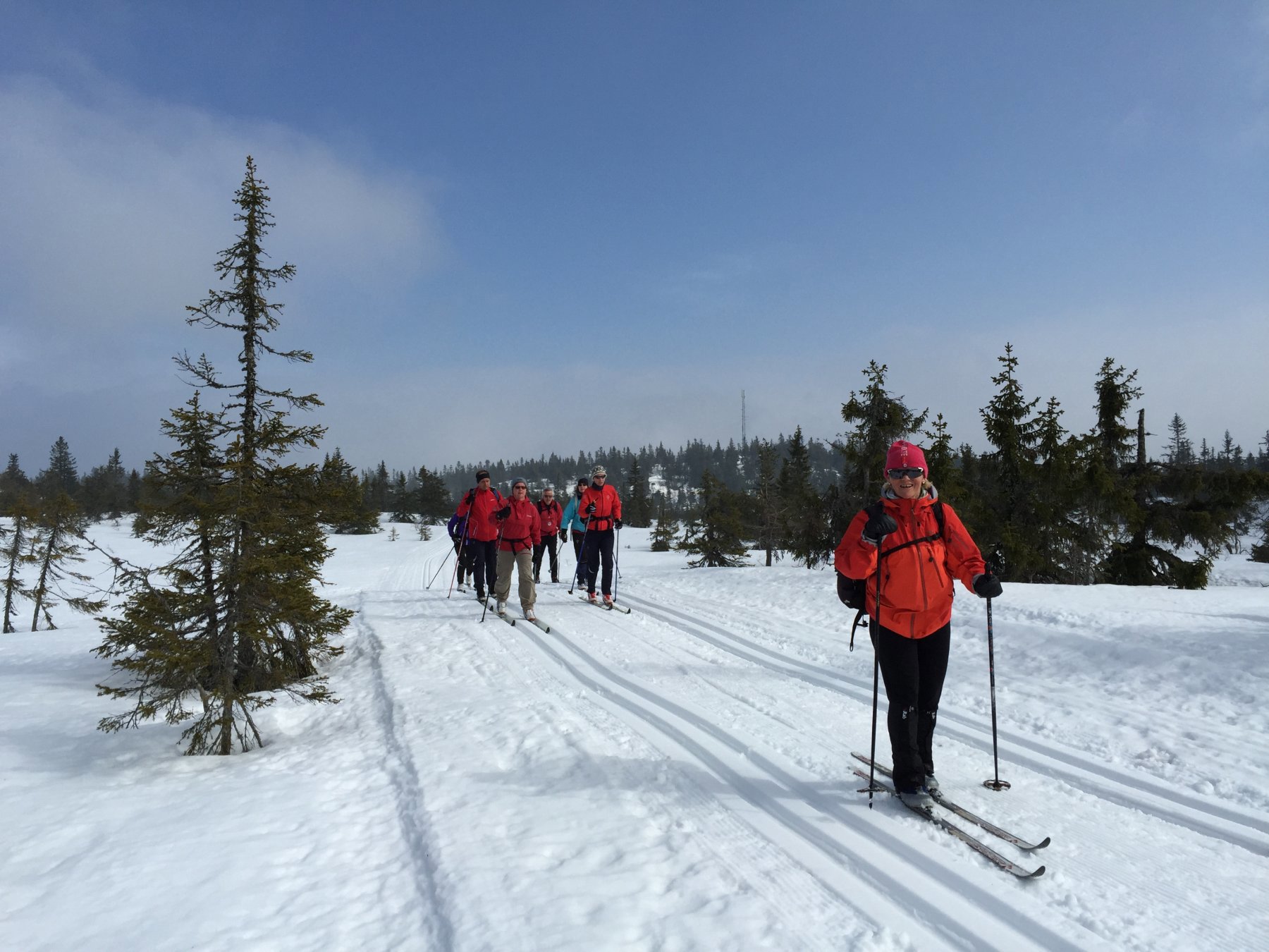 Vårtur 2015: på Østre Totens tak