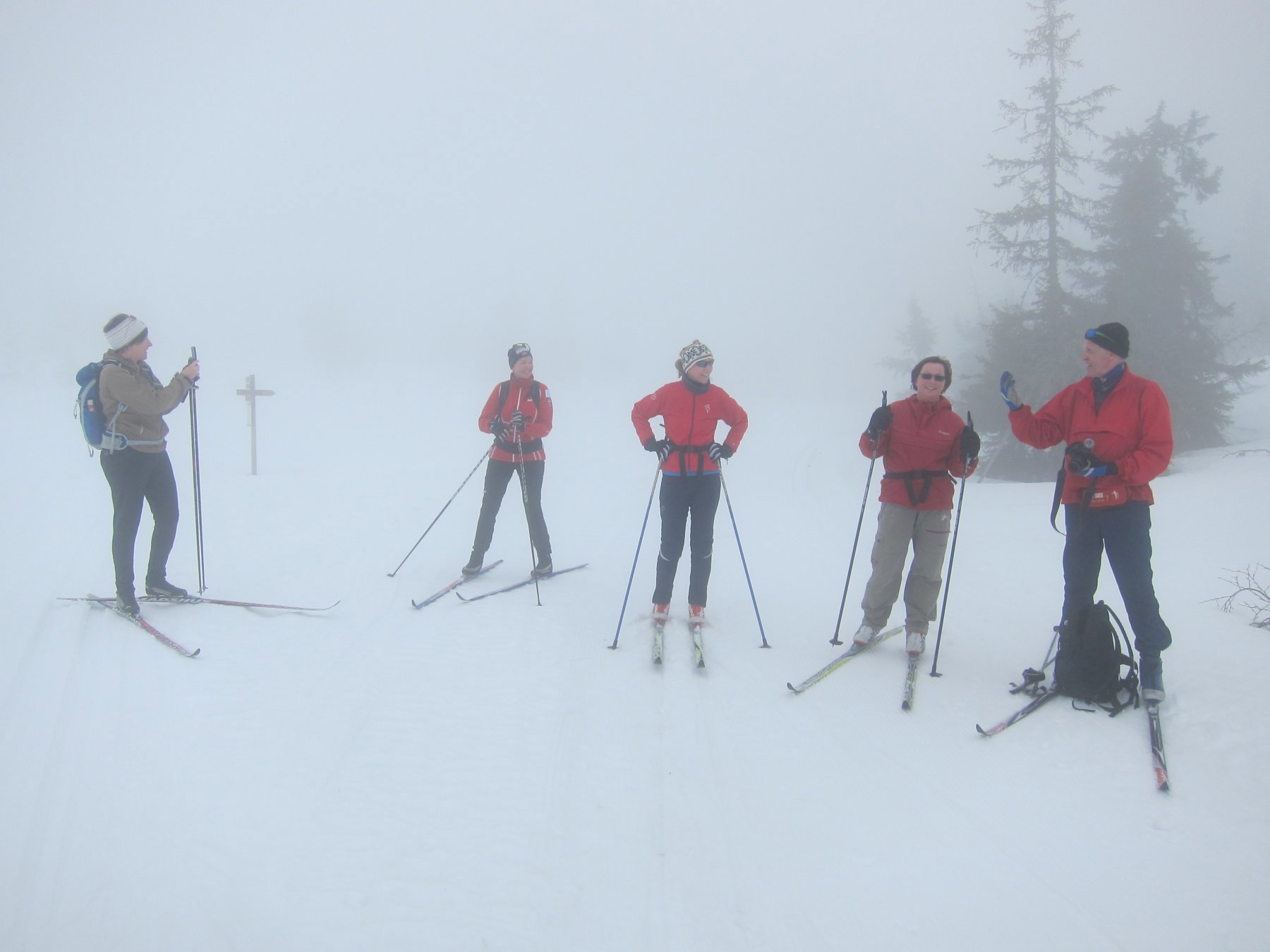 Vårtur 2015: Spor i tåke