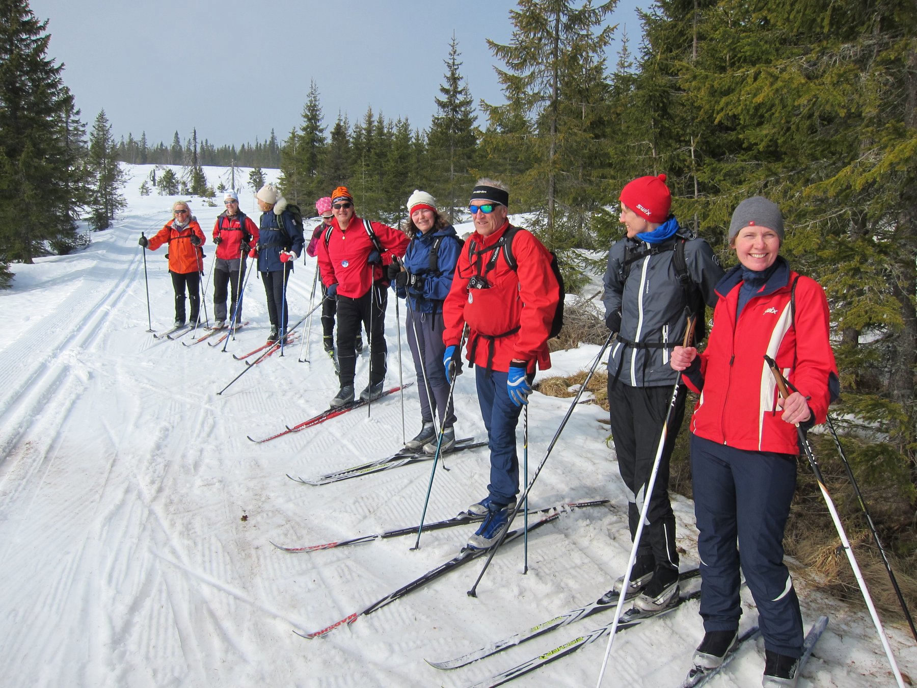Vårtur 2015: Utsiktsstopp ved Anfinnsætra