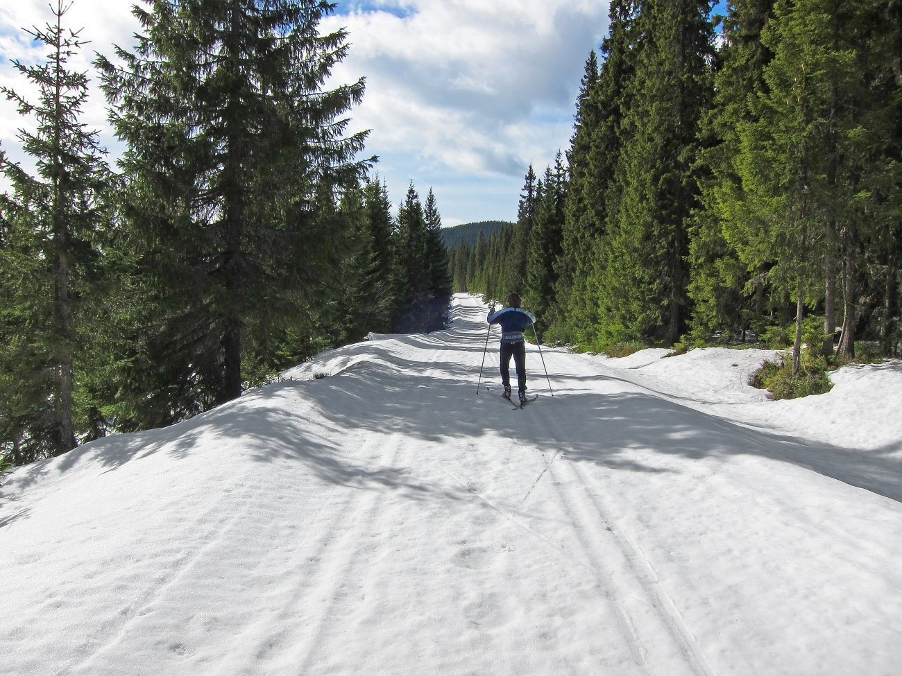 Vårtur på Ognillavegen