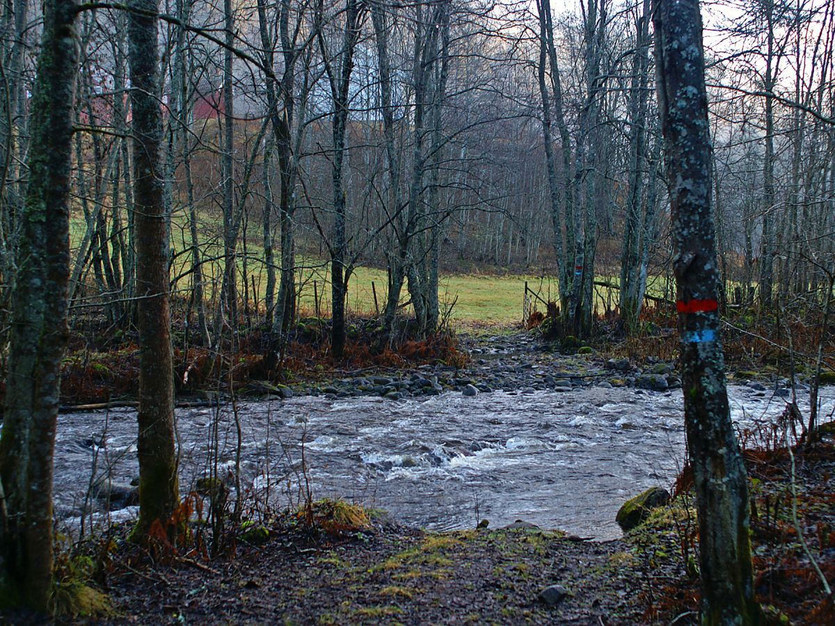 Våt, blåmerket sti over Isielva