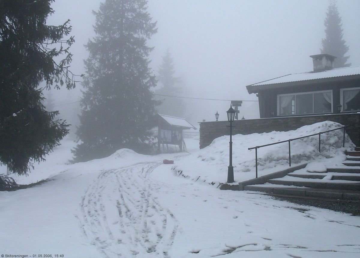 Våt nysnø på Løvlia