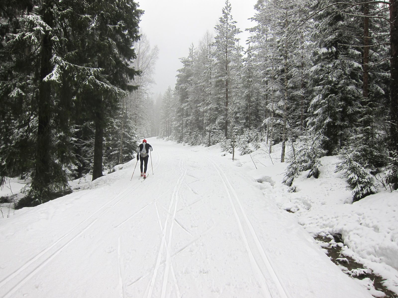 Vått, men brukbart i høyden