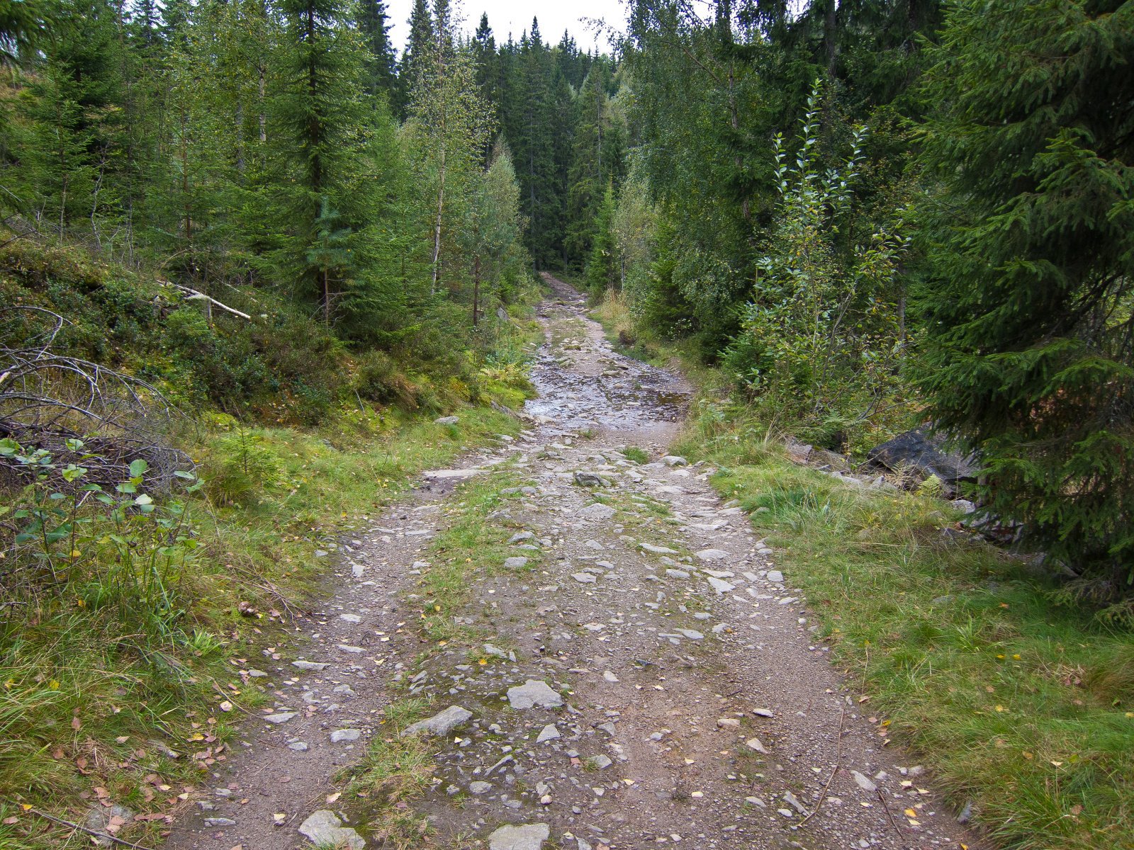 Vått og steinete mot Ramstadsjøen
