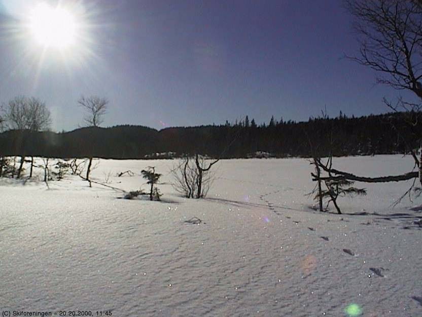 Ved Askenga (Kikuttoppen)