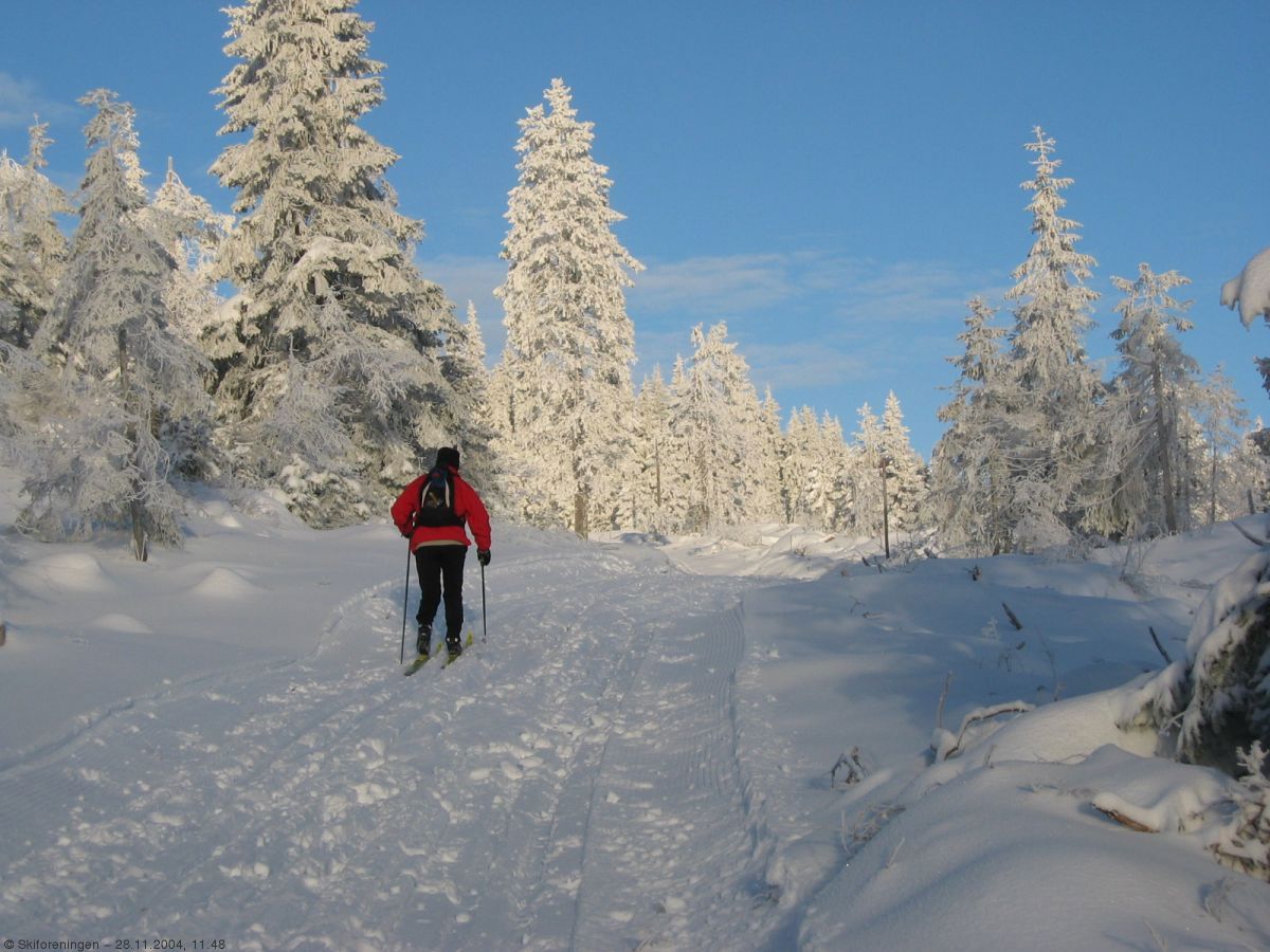 Ved Ballangrudkollen