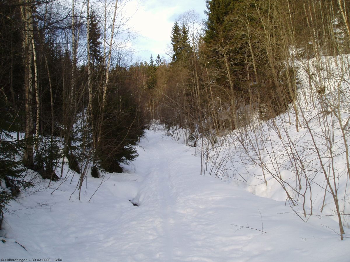 Ved bunnen av Deledalen i Østmarka