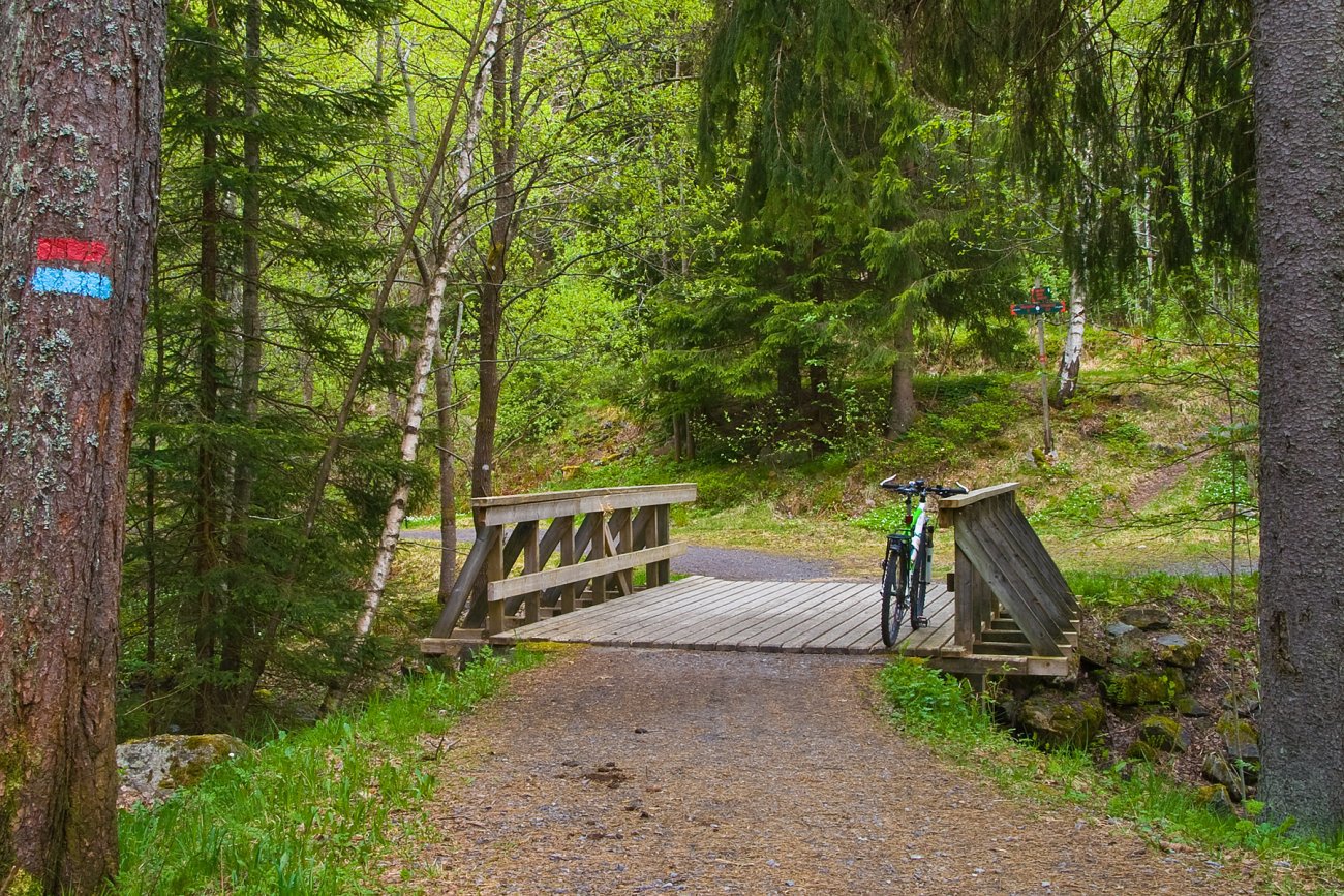 Ved et veidele i Østmarka