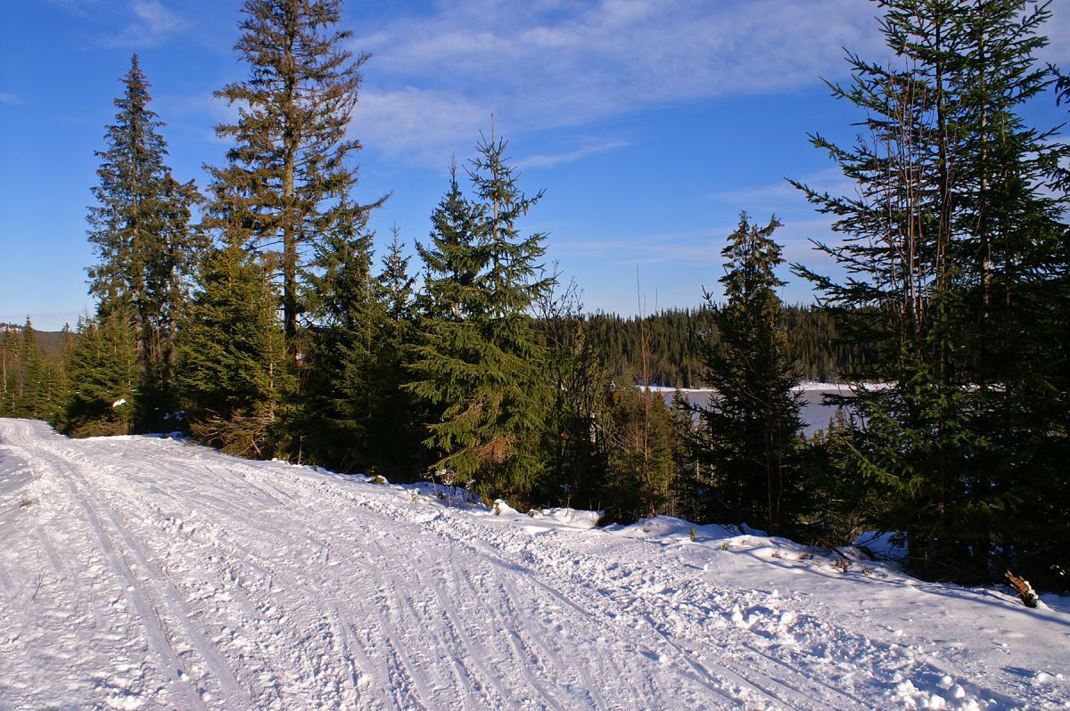 Ved Fagervann på Spålsveien