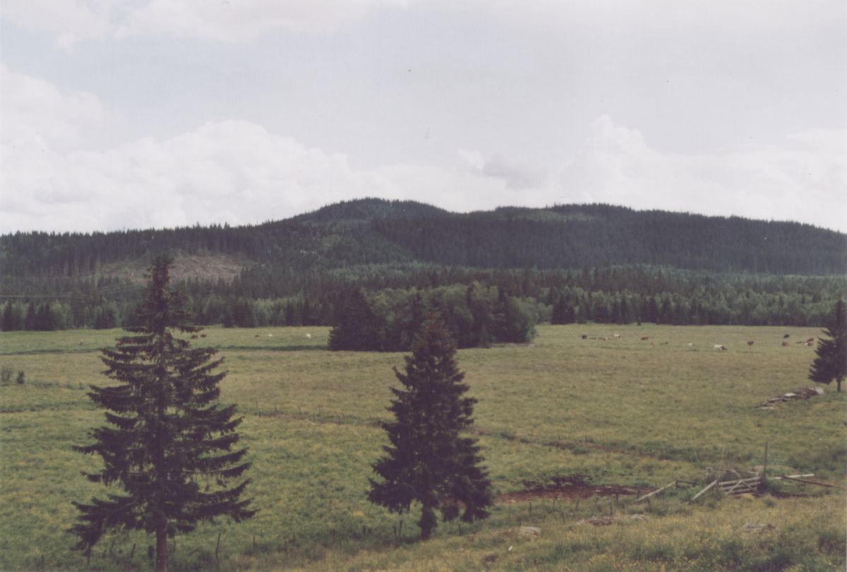 Ved Fellessætra og Rossumsætermyrene