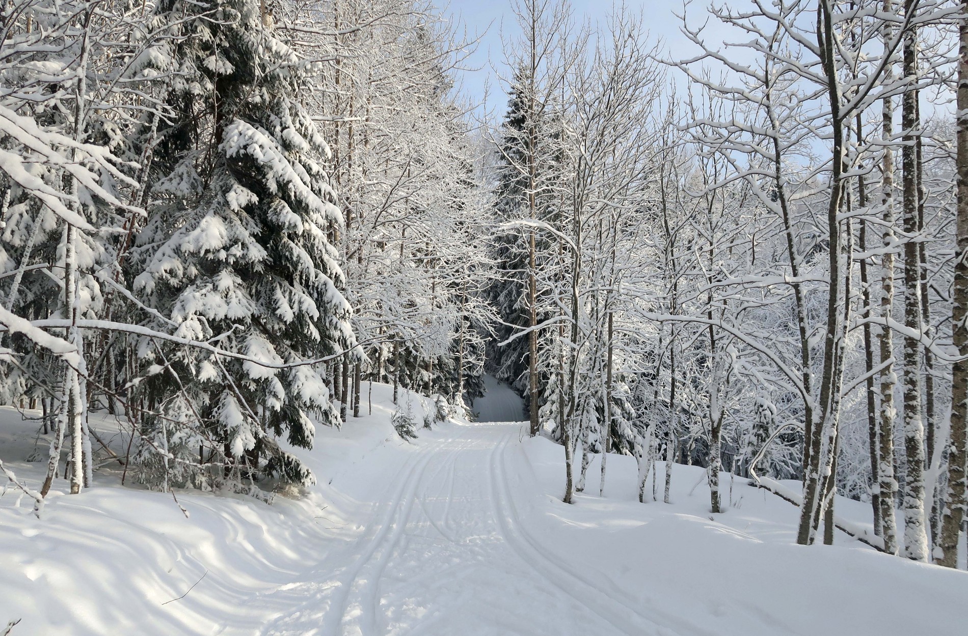 Ved foten av Garfangåsen