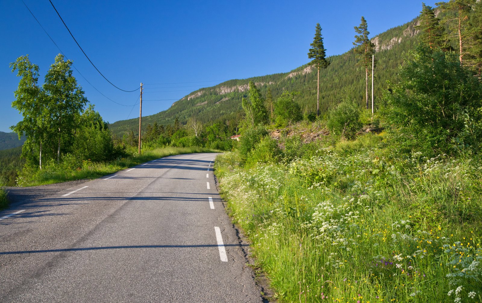 Ved foten av Krokskogen
