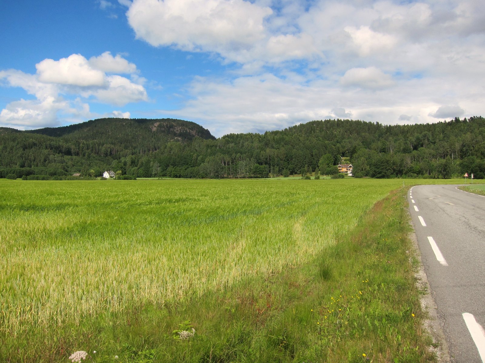 Ved foten av Trevardeåsen