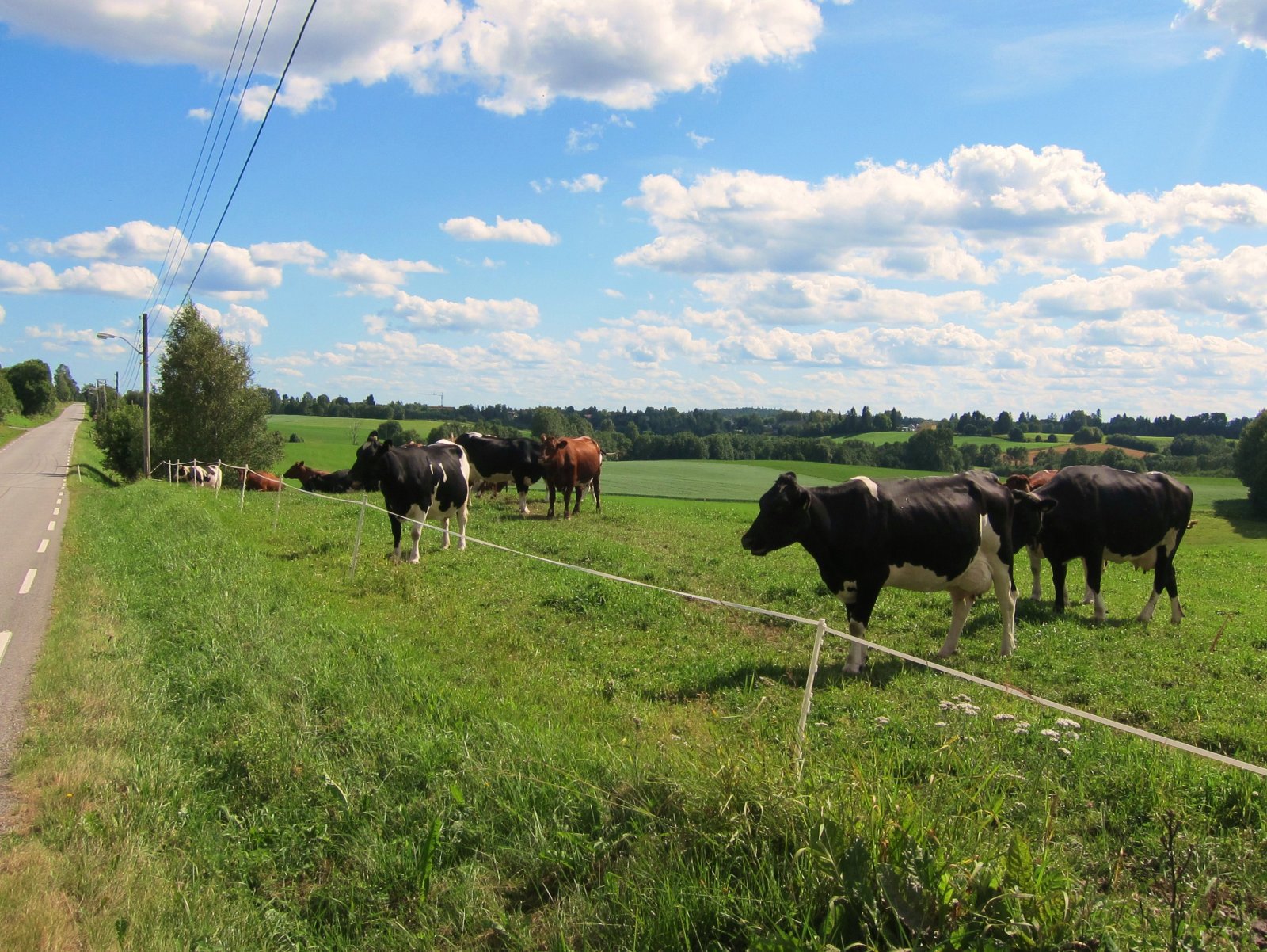 Ved Gamle Hadelandsveg