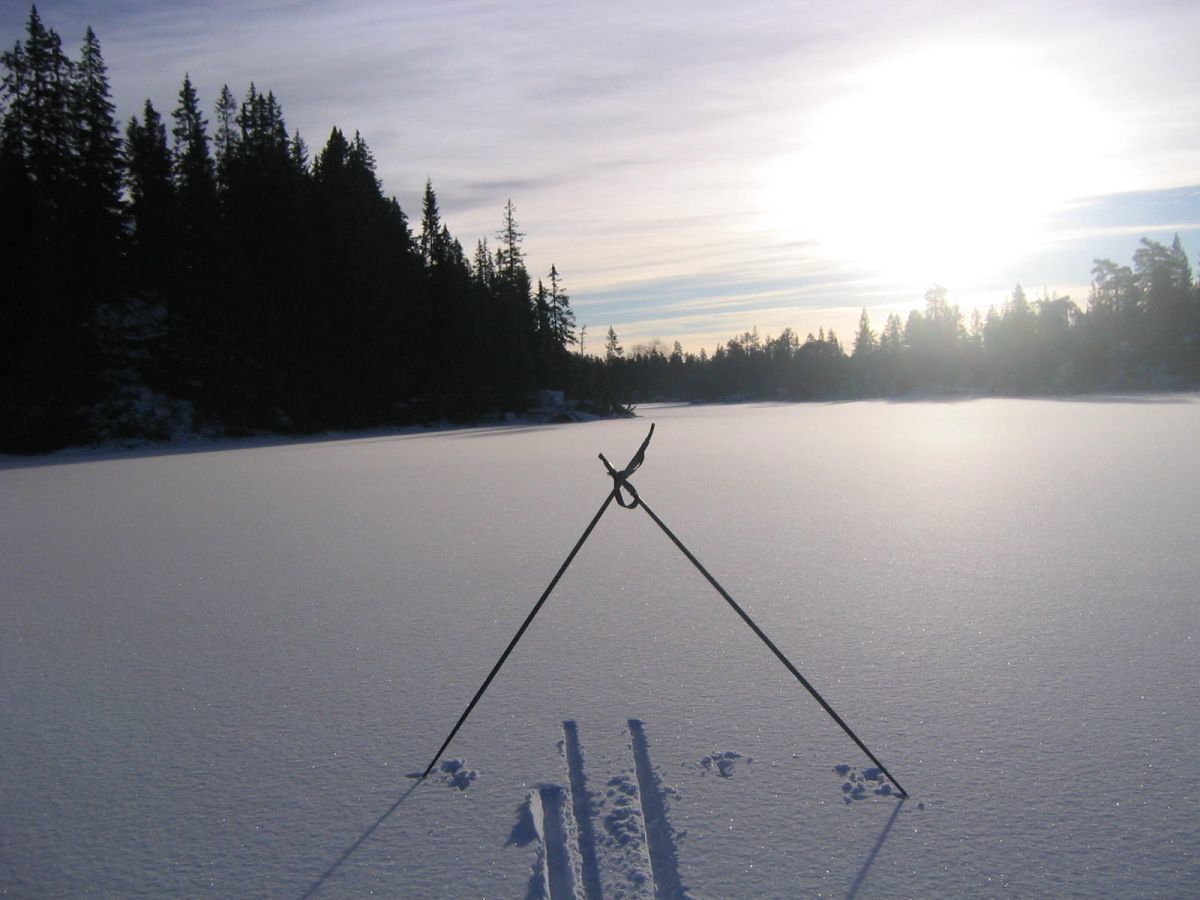 Ved Langtjern, Spålsveien