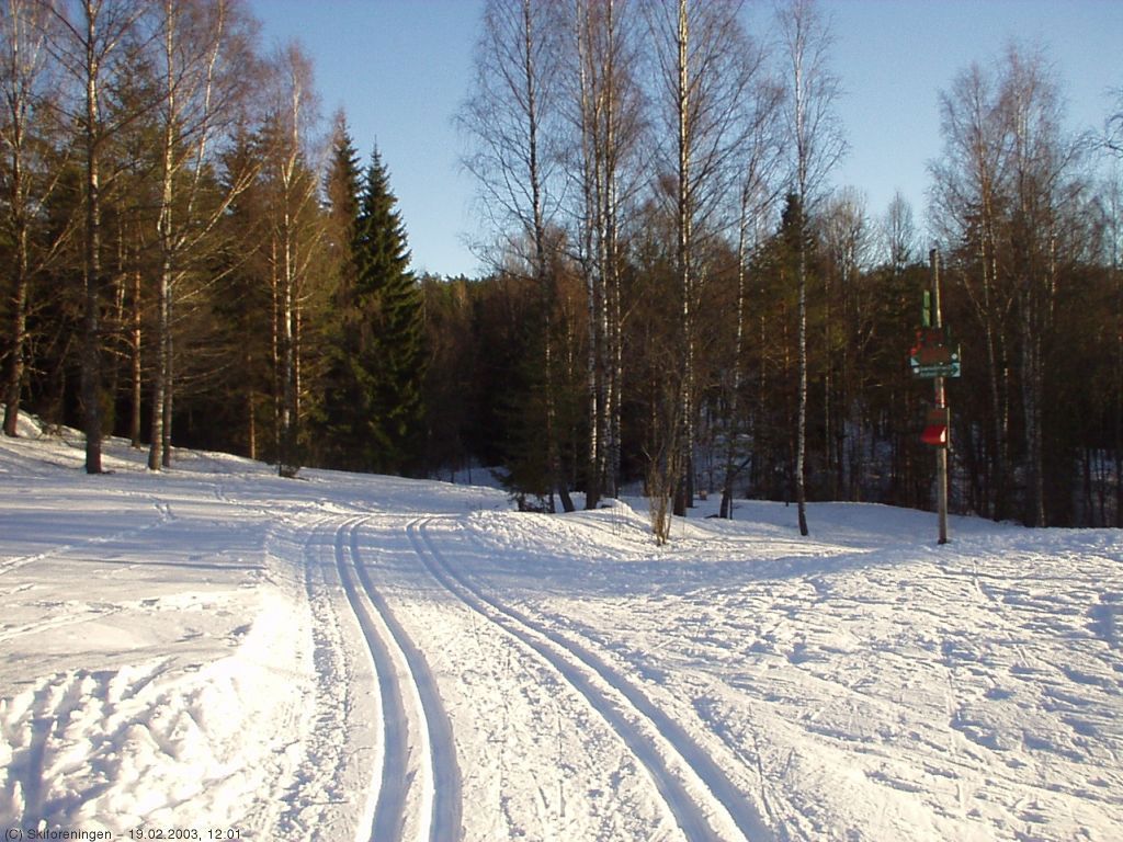 Ved løypekrysset v. Sandbakken
