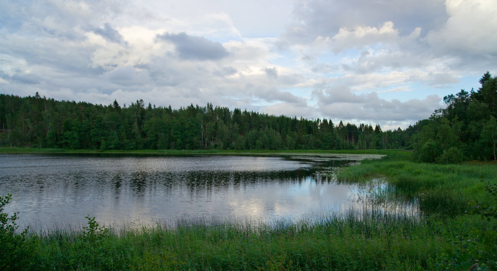 Ved Noretjernet en julikveld