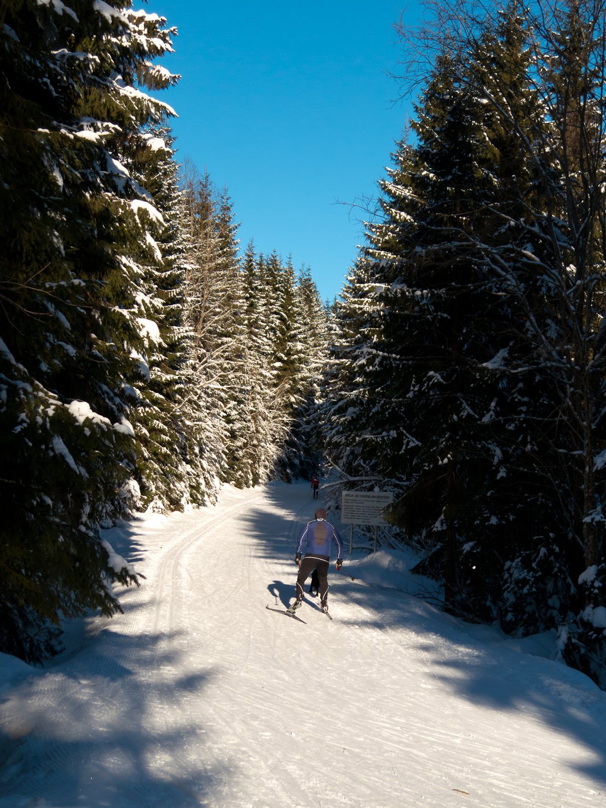 Ved starten av Grønlandsveien
