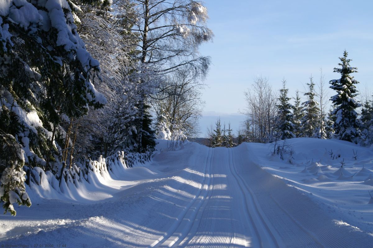 Ved Steinsvollen på Gamle Kongevei
