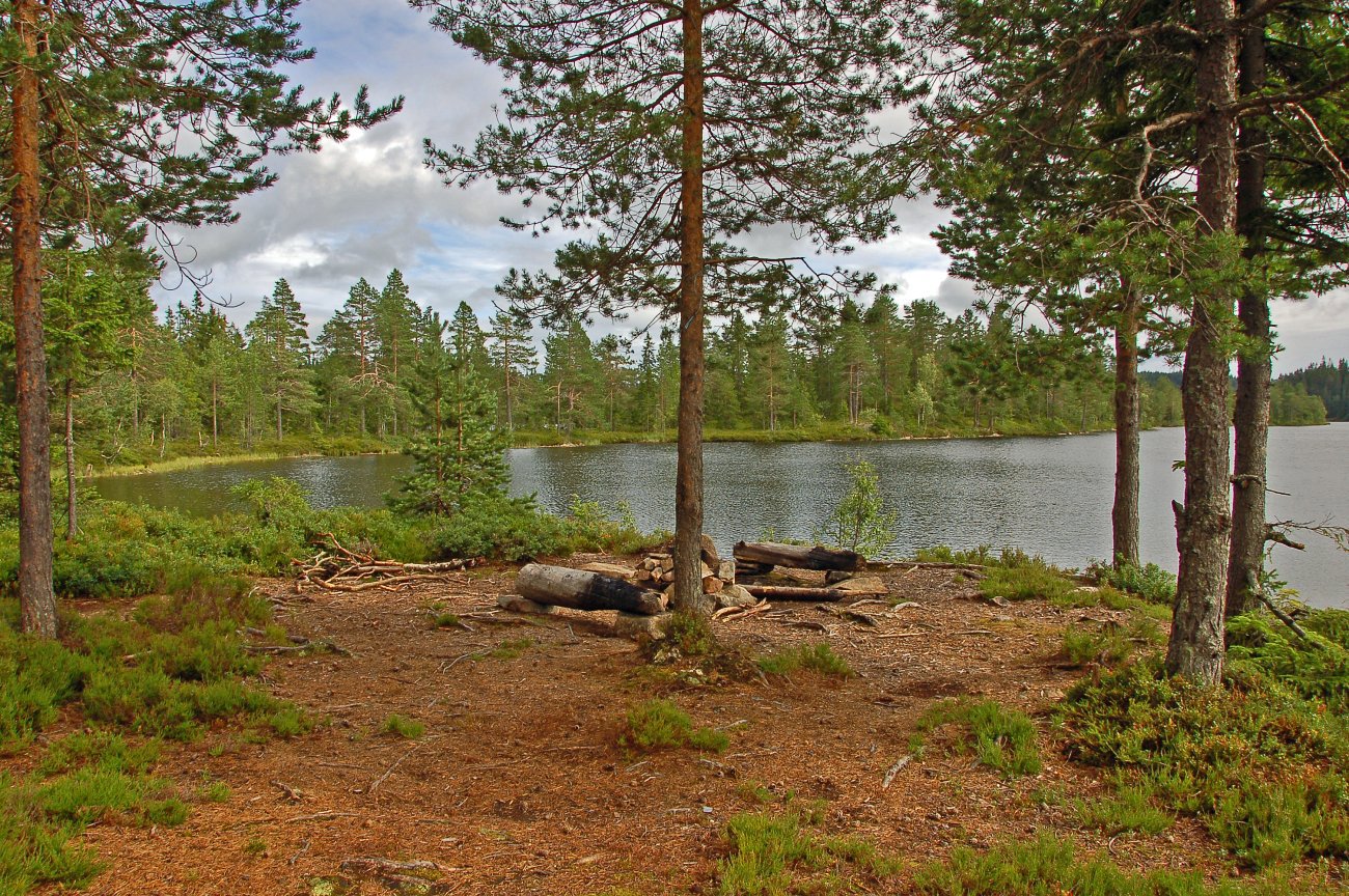 Ved Store Snellingsvannet