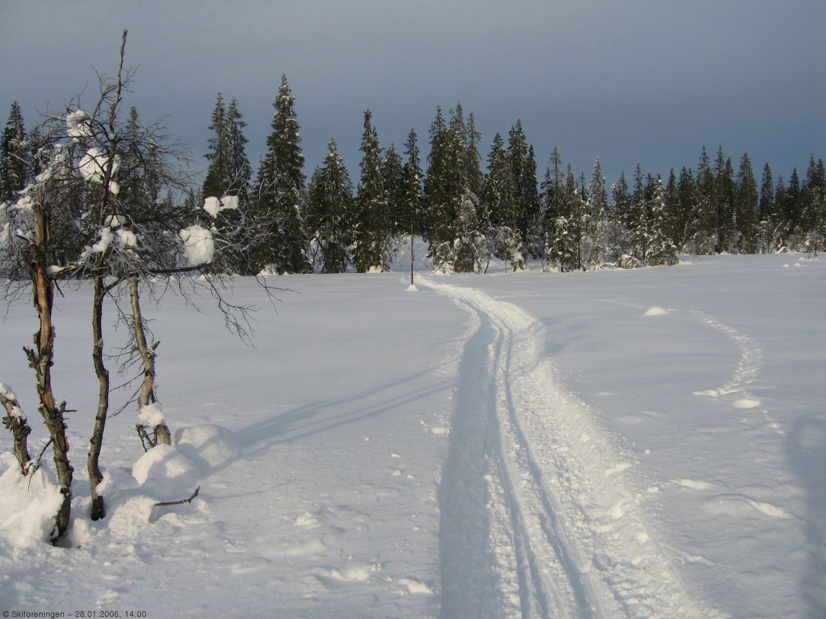 Ved Stormyra under Heikampen