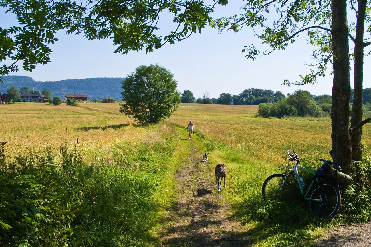 Ved Stovivann en vakker augustdag