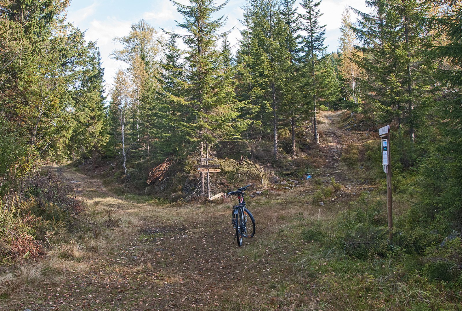 Vegkryss ved Brågåtjenna