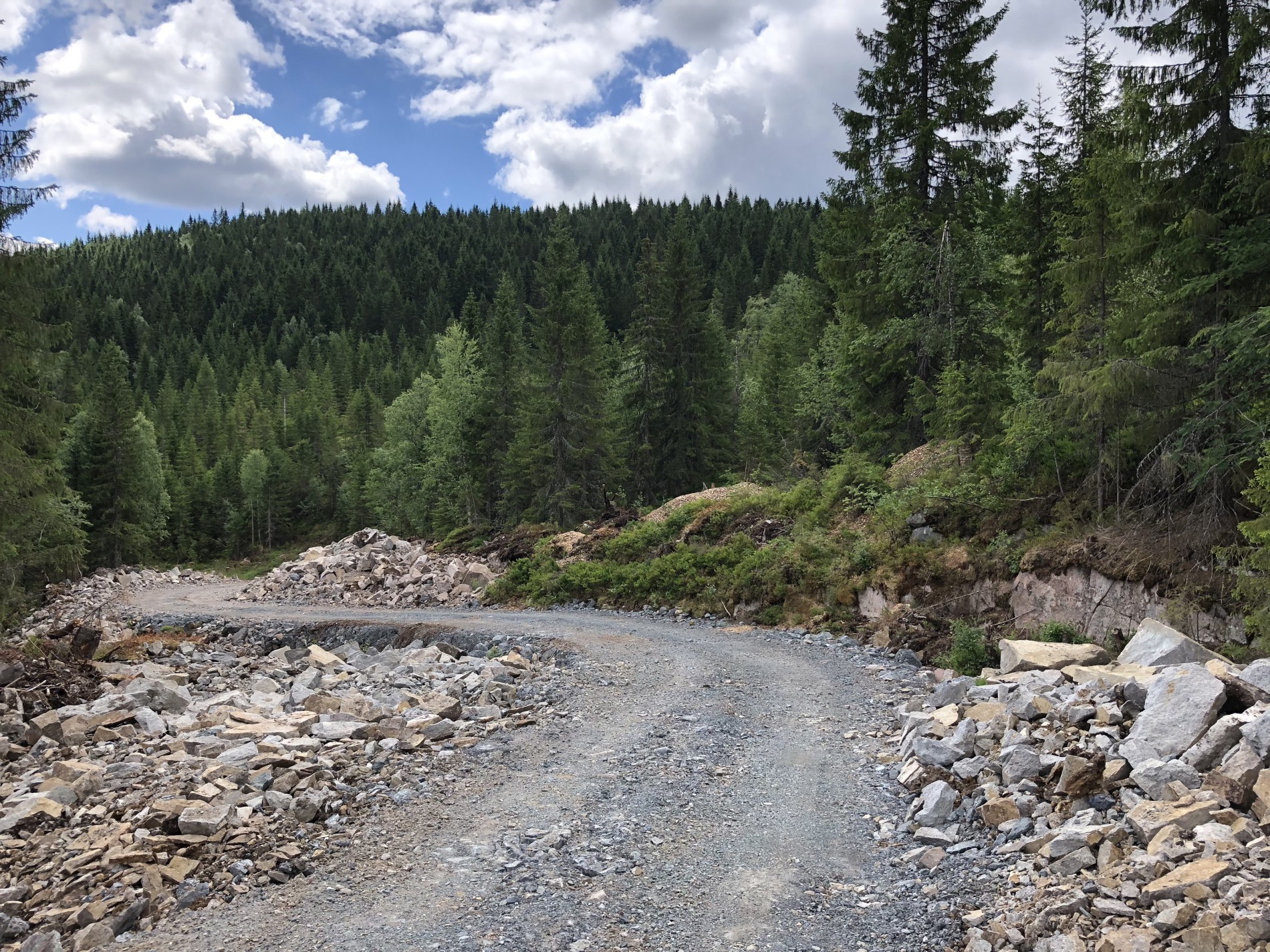 Veibygging i Dammyrdalen