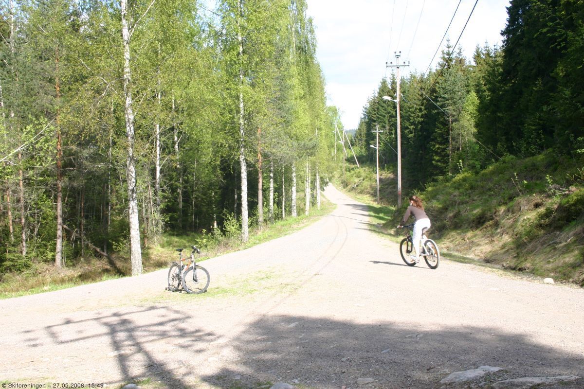 Veidele ved Breisjøen