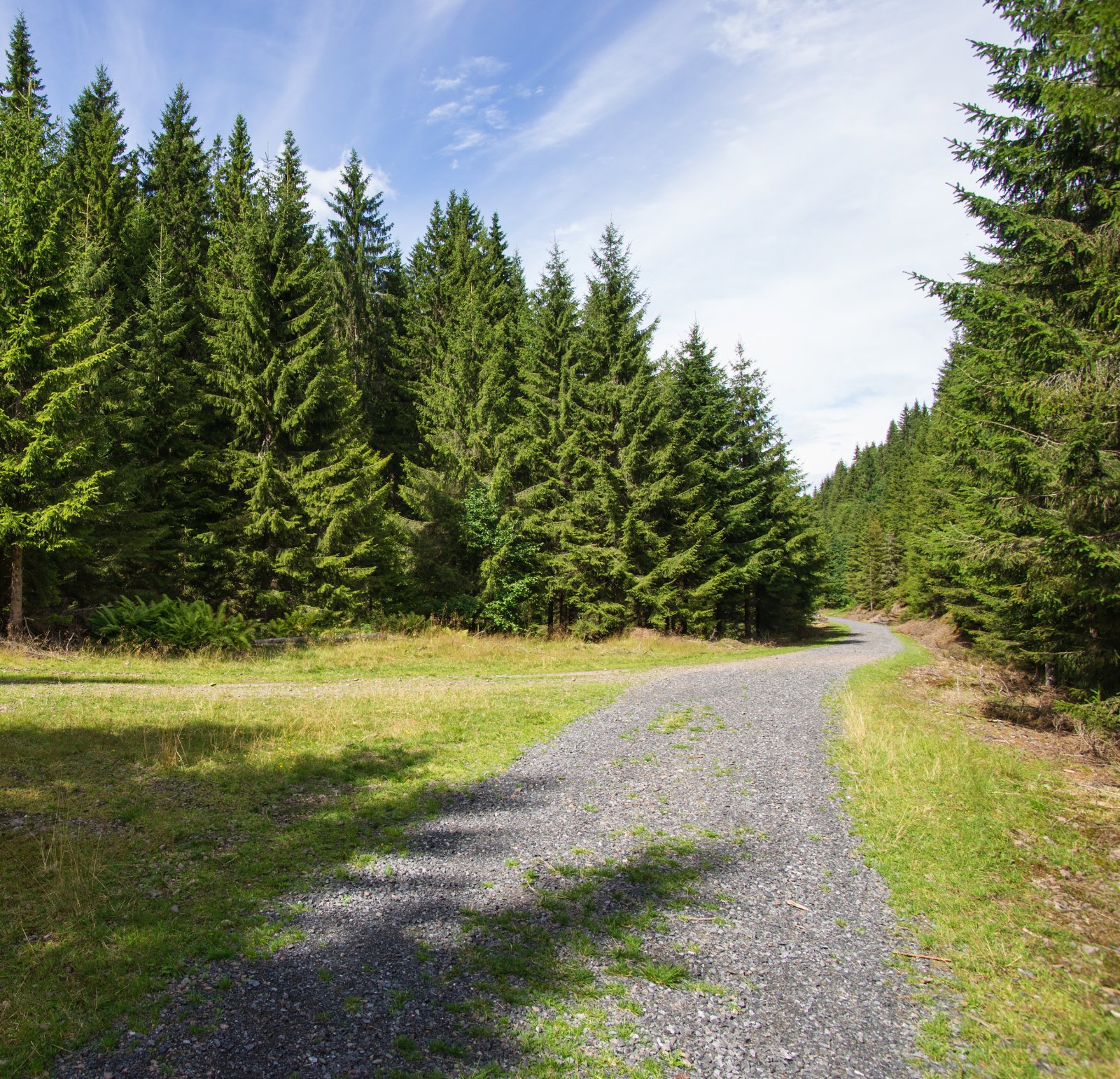 Veidele ved Sørelva