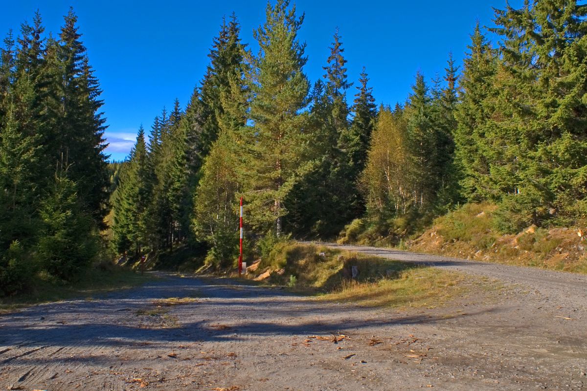 Veidelet i Østbydalen