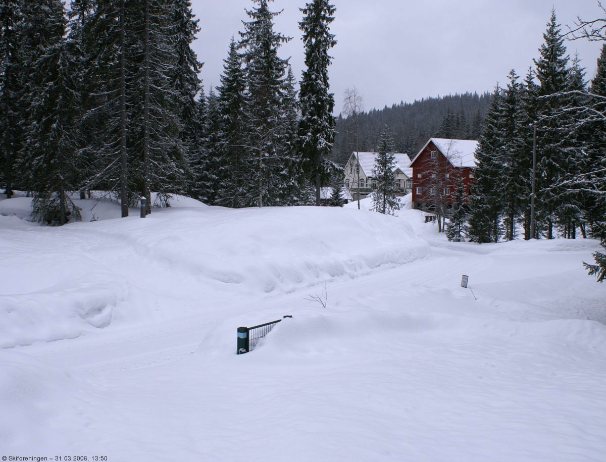 Veien krysses ved Brattholt