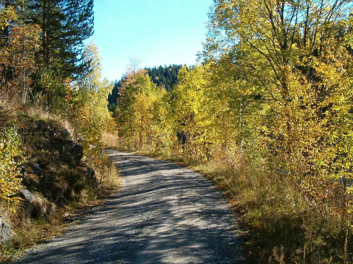 Veien langs Dretvann
