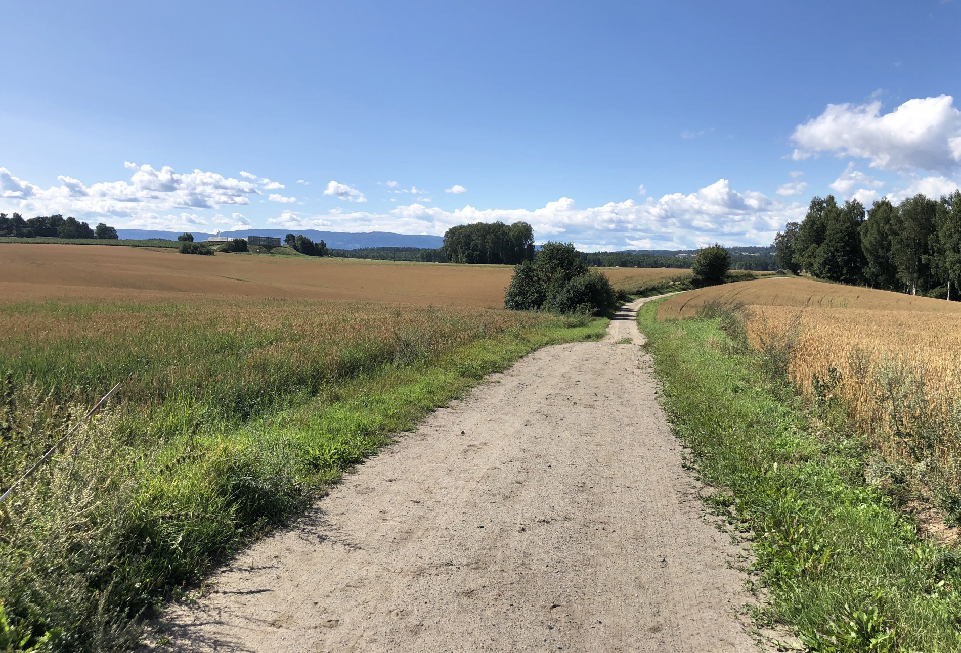 Veier uten trafikk, bare en og annen hest